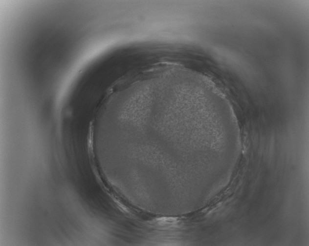 X0000071770052200607150039