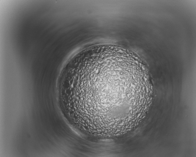 X0000071770053200607150039