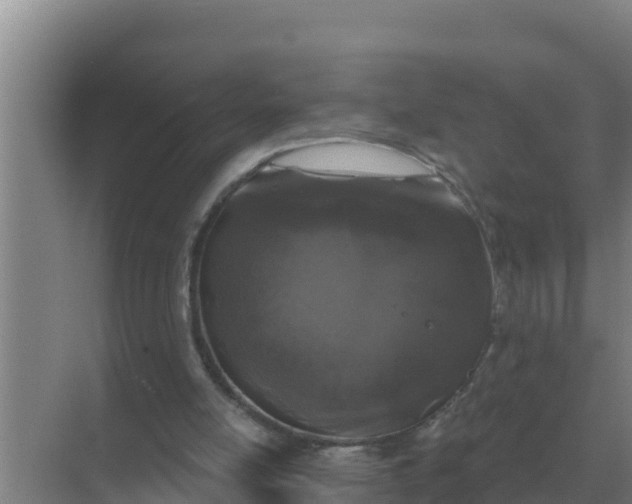 X0000071770054200607150039