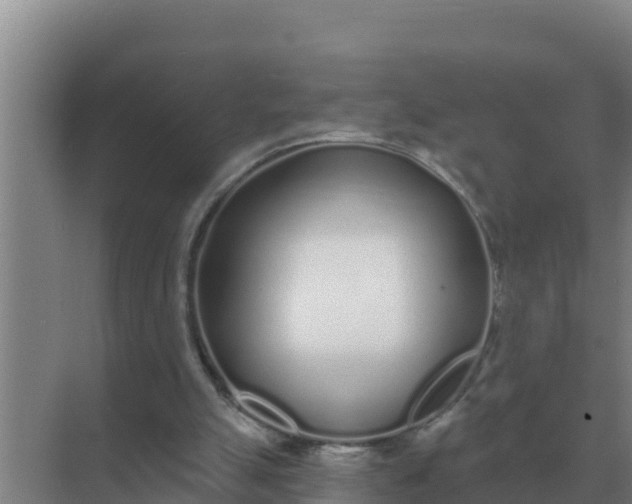 X0000071770055200607150039