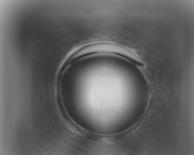 X0000071770056200607150039