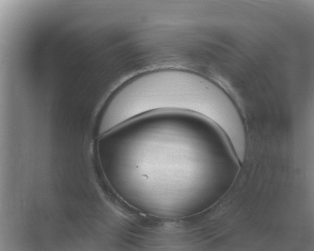 X0000071770060200607150039