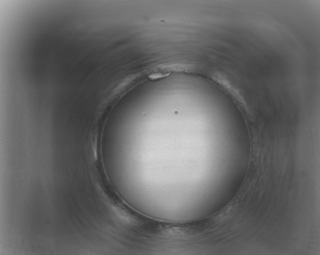 X0000071770062200607150039