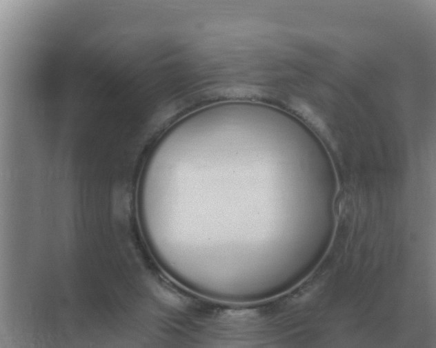 X0000071770063200607150039