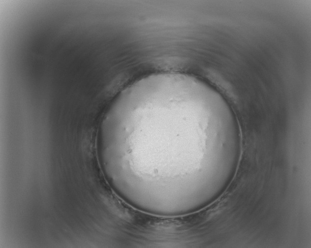 X0000071770065200607150039