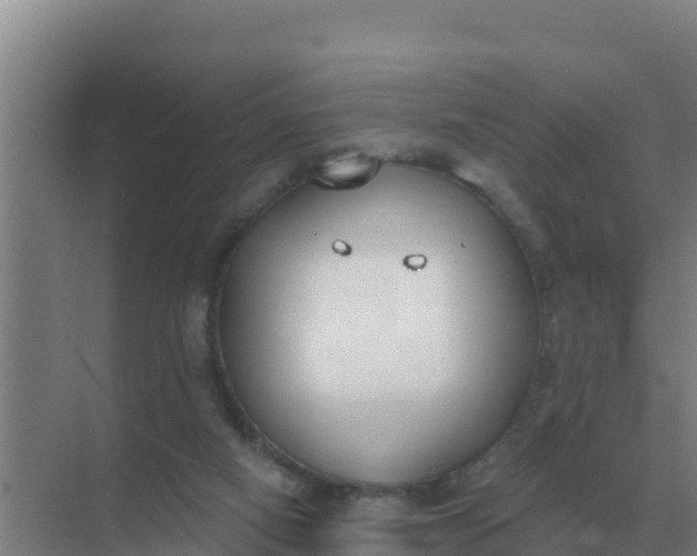 X0000071770066200607150039