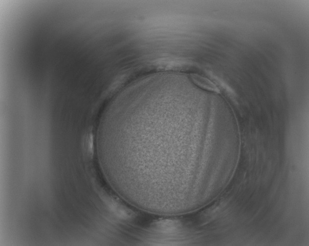 X0000071770067200607150039