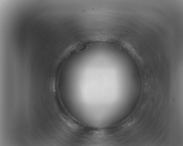 X0000071770068200607150039