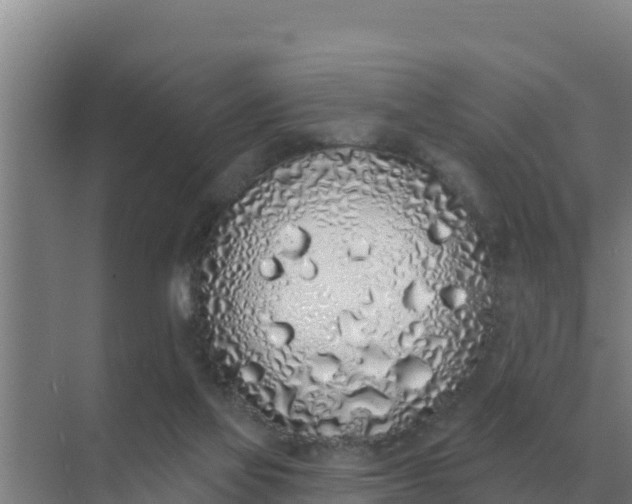 X0000071770069200607150039