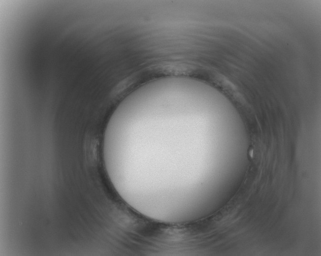 X0000071770071200607150039