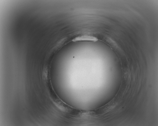 X0000071770072200607150039