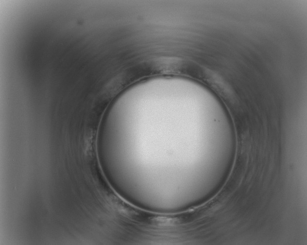 X0000071770073200607150039