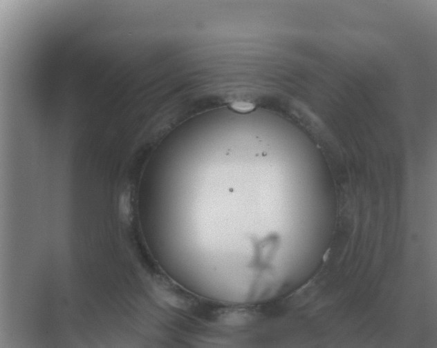 X0000071770074200607150039