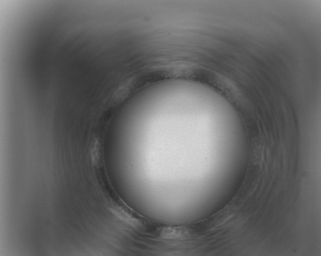 X0000071770077200607150039