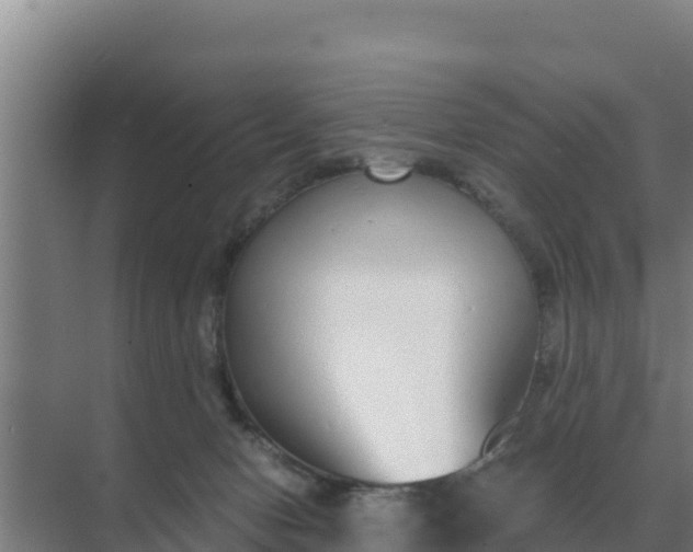 X0000071770078200607150039