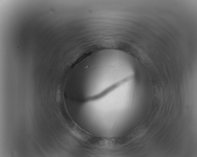 X0000071770080200607150039