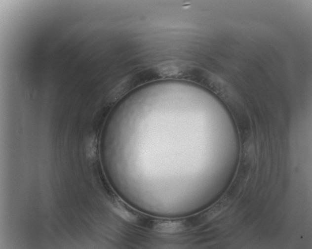 X0000071770081200607150039