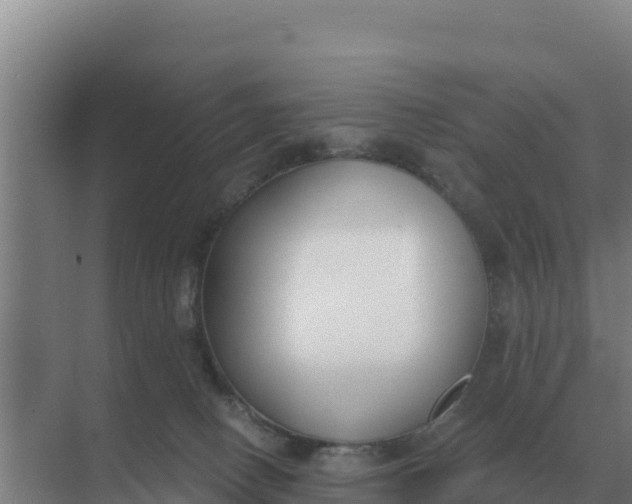 X0000071770082200607150039