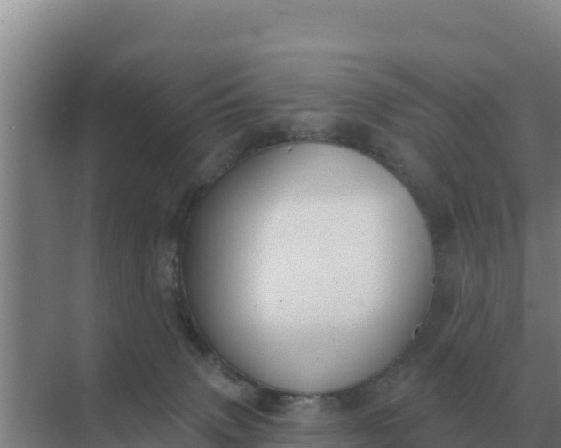 X0000071770083200607150039