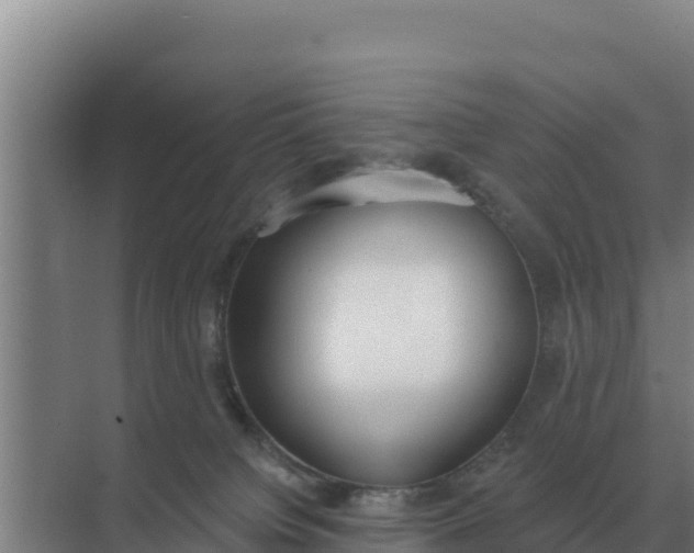 X0000071770084200607150039