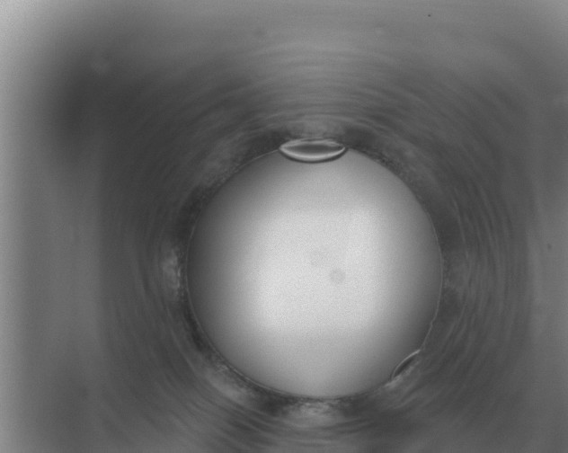 X0000071770086200607150039