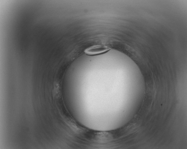 X0000071770087200607150039