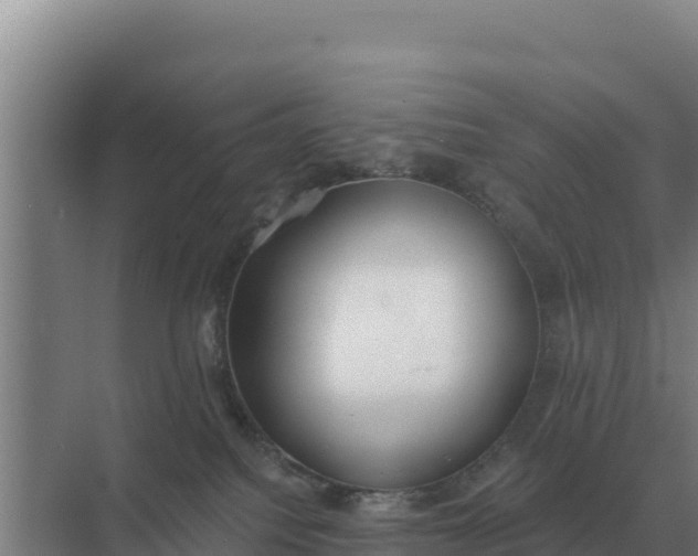 X0000071770088200607150039