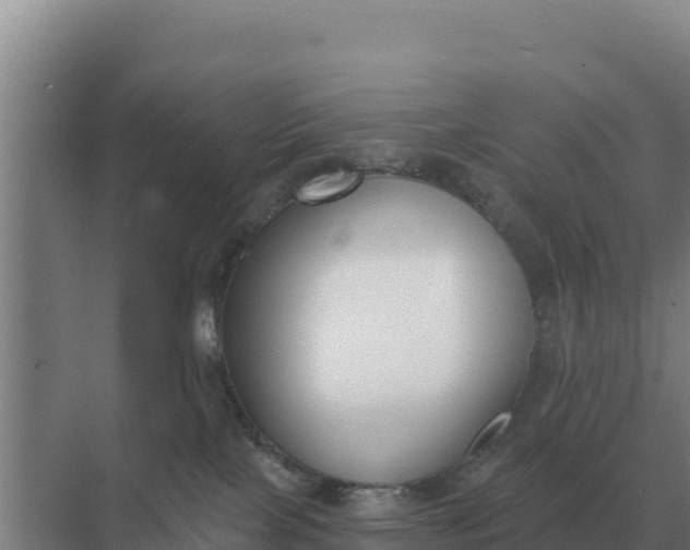 X0000071770089200607150039