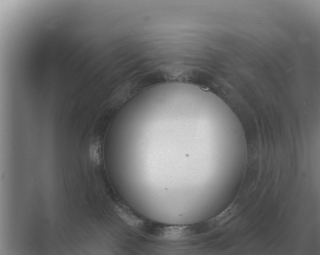 X0000071770090200607150039