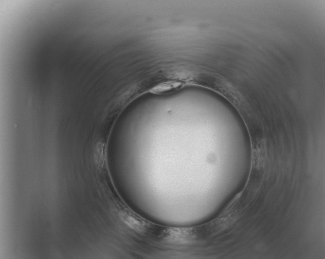 X0000071770093200607150039