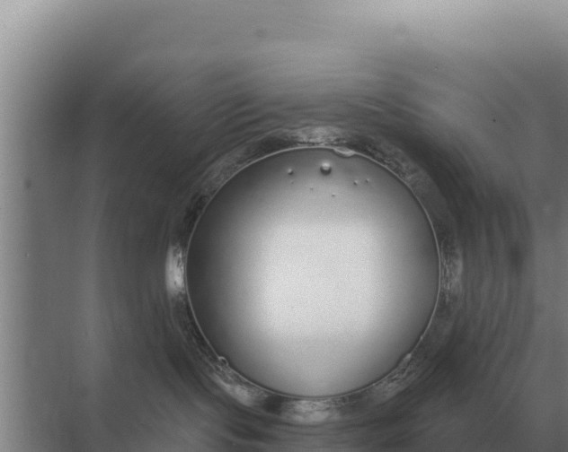 X0000071770095200607150039