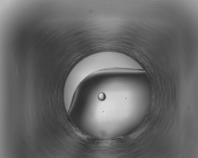 X0000071770096200607150039