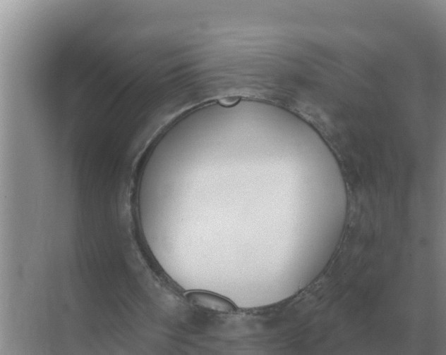 X0000071770098200607150039