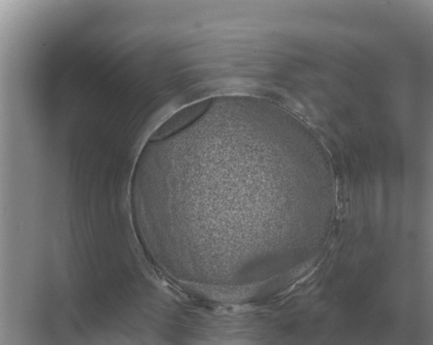 X0000071770099200607150039