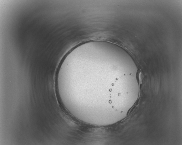 X0000071770100200607150039