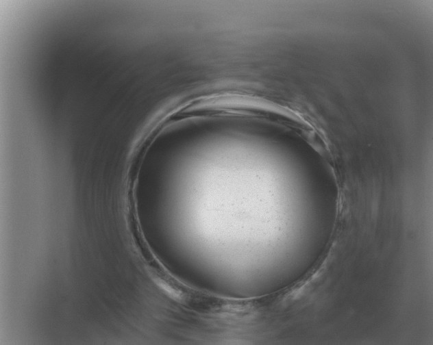 X0000071770101200607150039