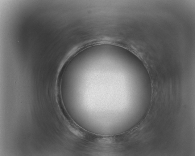 X0000071770102200607150039