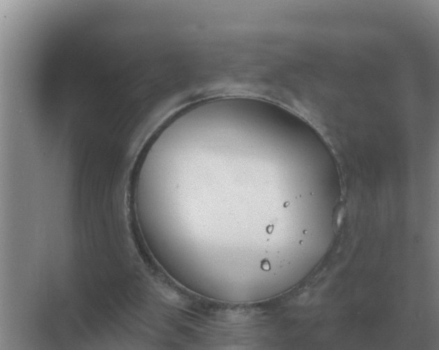 X0000071770103200607150039