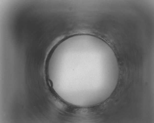 X0000071770104200607150039