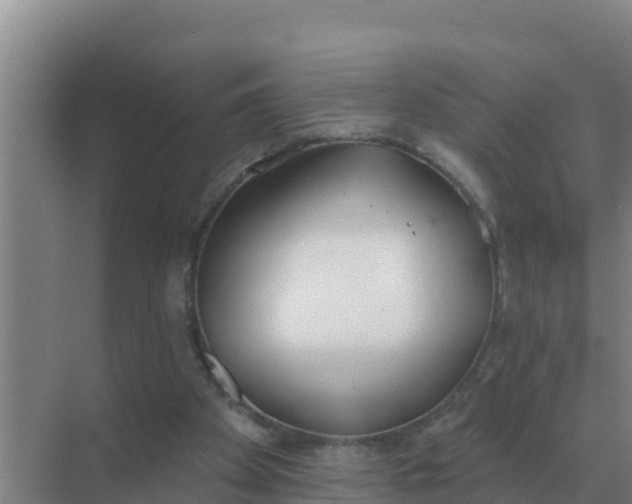 X0000071770105200607150039