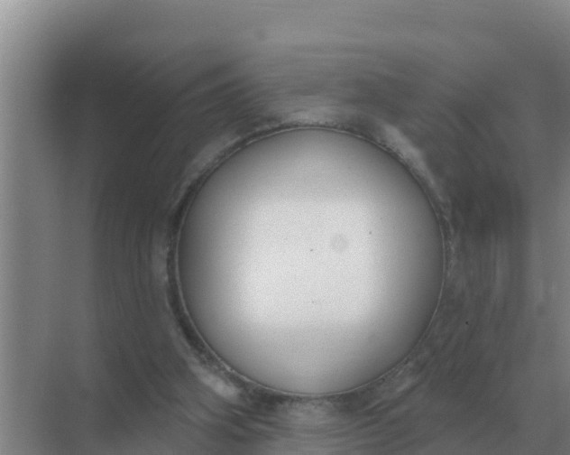 X0000071770106200607150038