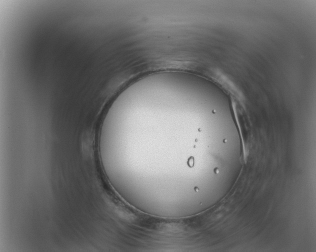 X0000071770107200607150038