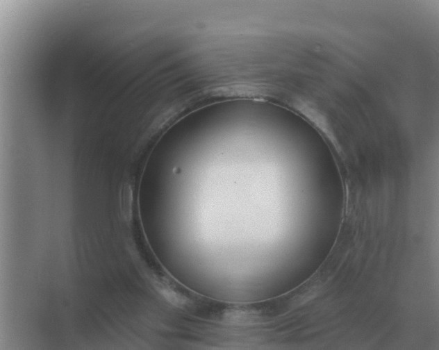 X0000071770109200607150038