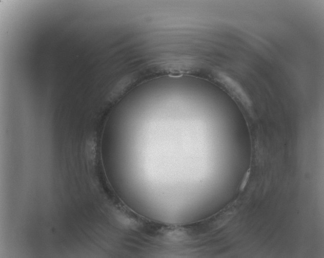 X0000071770113200607150038