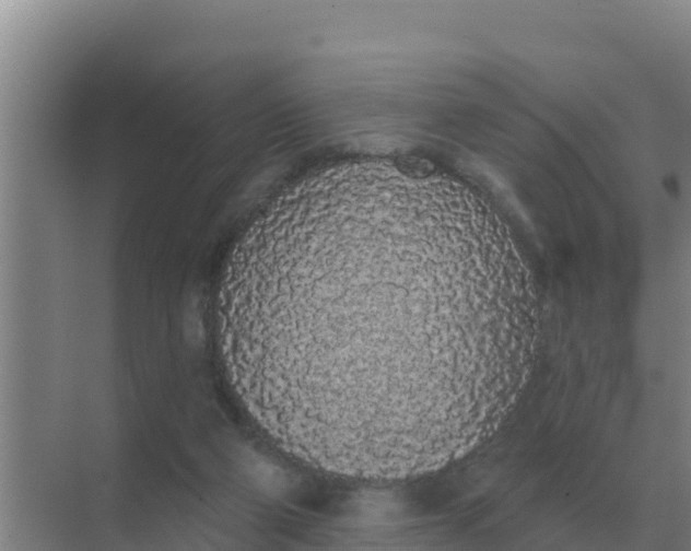 X0000071770114200607150038