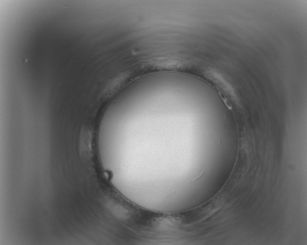 X0000071770115200607150038