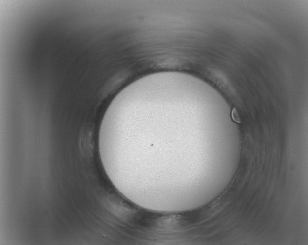 X0000071770116200607150038