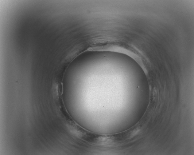 X0000071770117200607150038