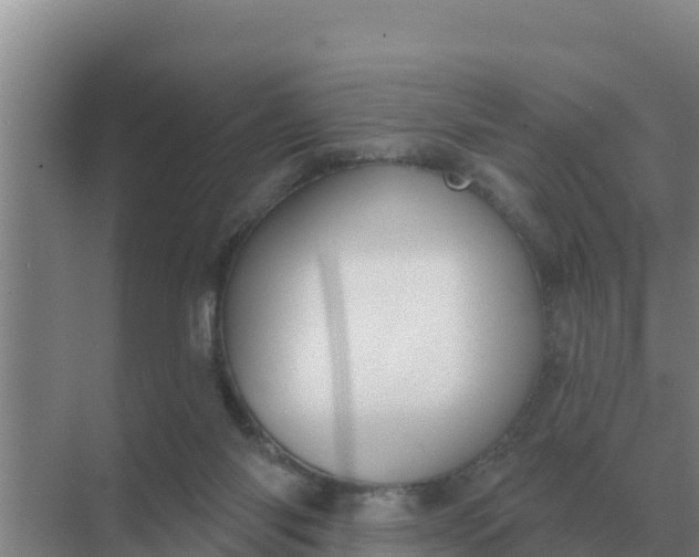 X0000071770118200607150038