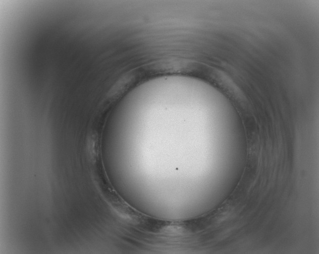 X0000071770119200607150038